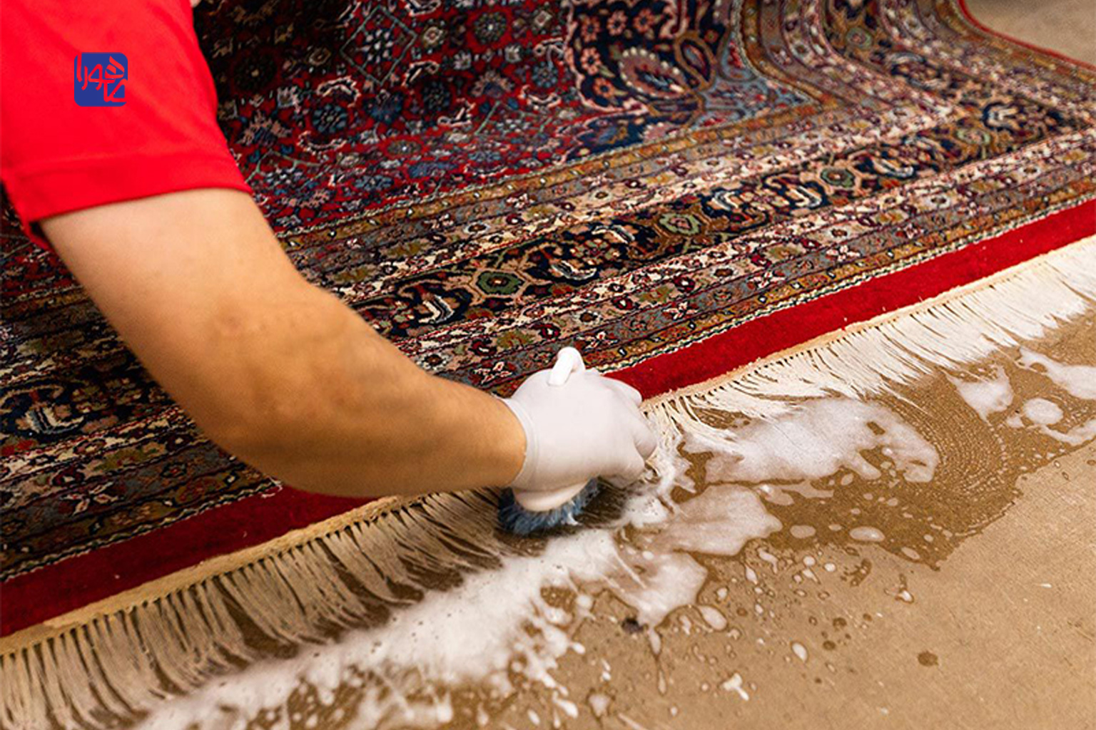 نظافت فرش‌های دستباف و ماشینی همراه با اصول شستشو